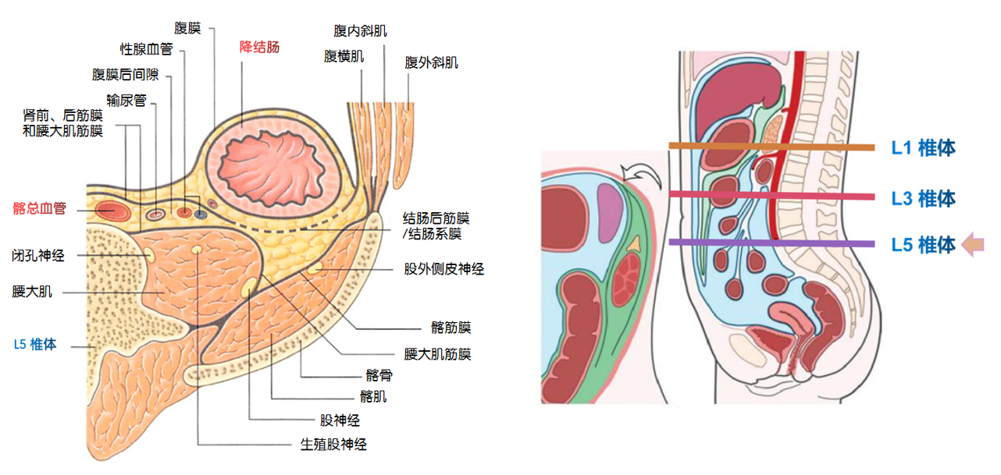 5d2bf369a5d64479ffab89be33e9dc0a.png