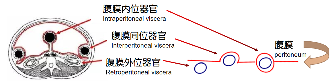 d9c3d118c209557c11cd37e651048f38.png