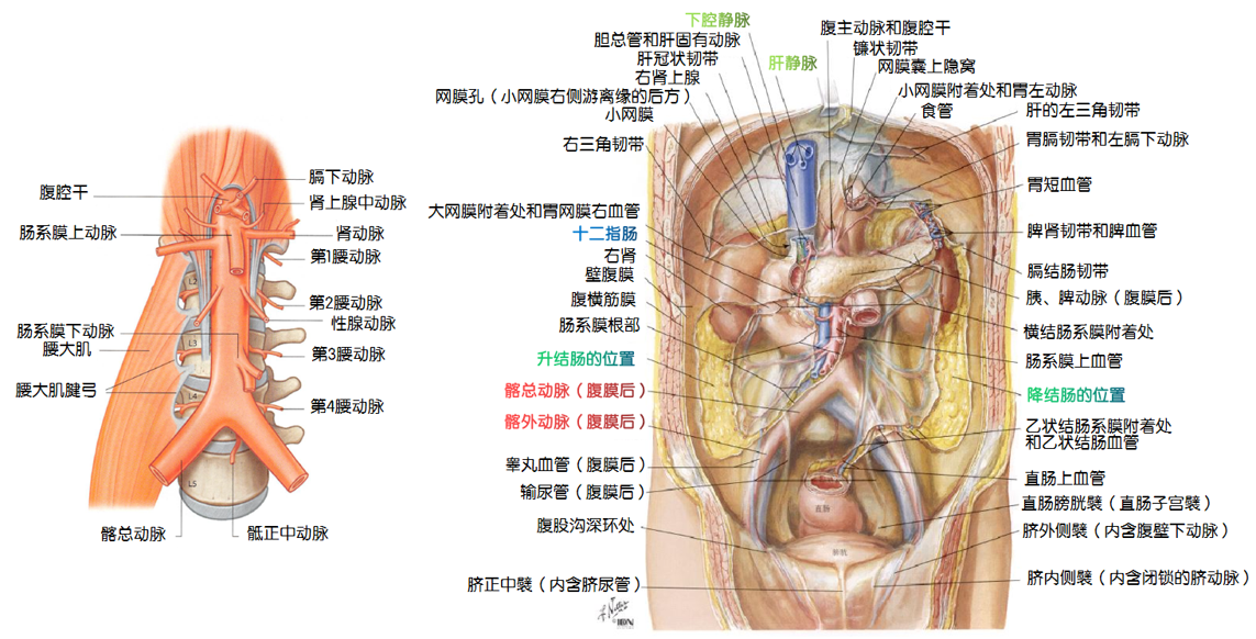 18043d43826a3cb6cf6aff0244b54a67.png