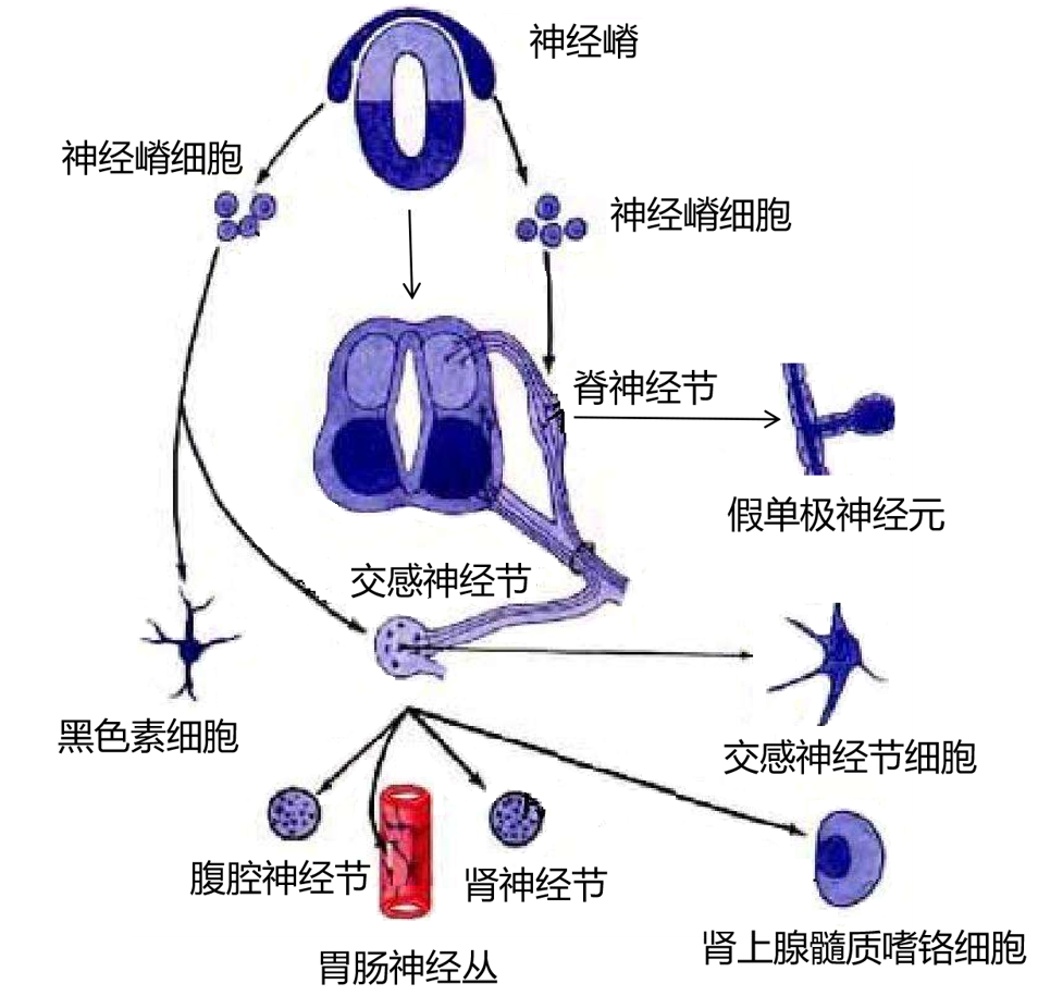 cd511ddb3bf762ec14eb0f35640307ac.png