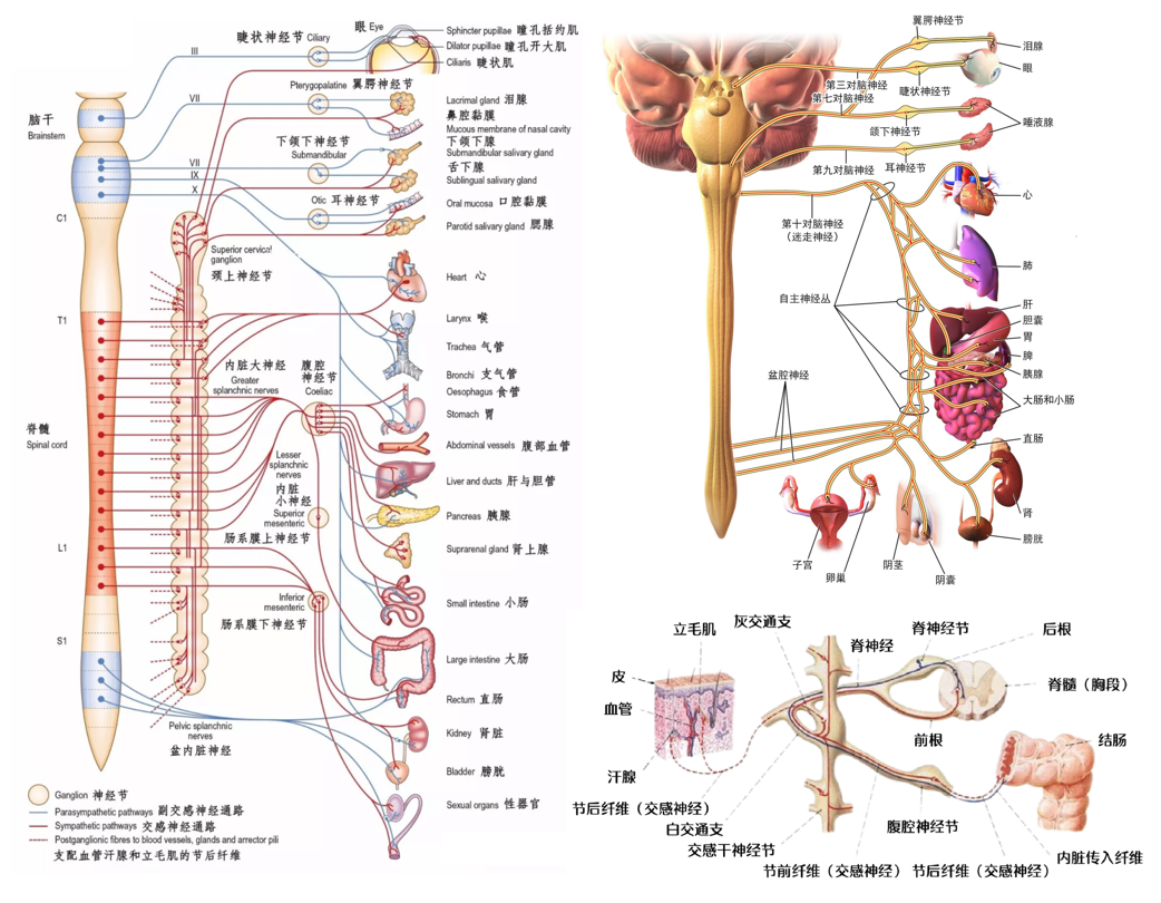a1c5543ca8868699c943ff30bf053f32.png