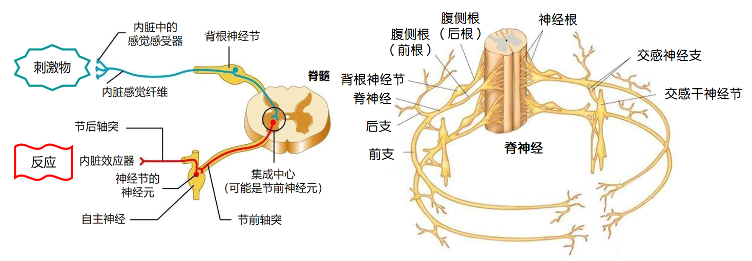 d88825dba62857322699e850ede86d05.png
