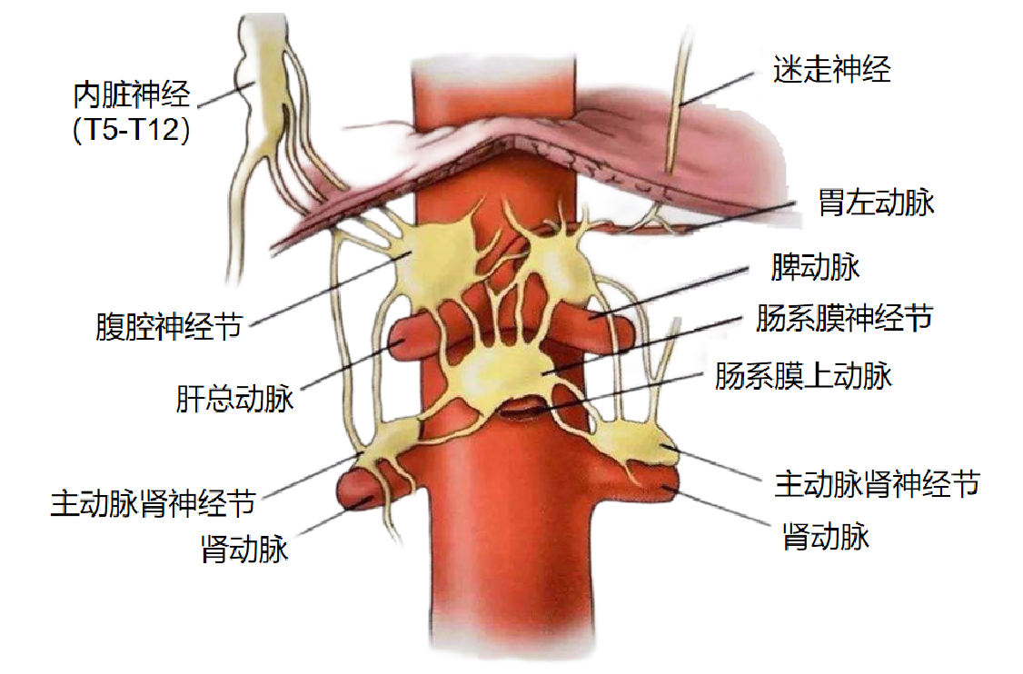 531d9dbf3461c23c70e28a3a9ba5a62b.png