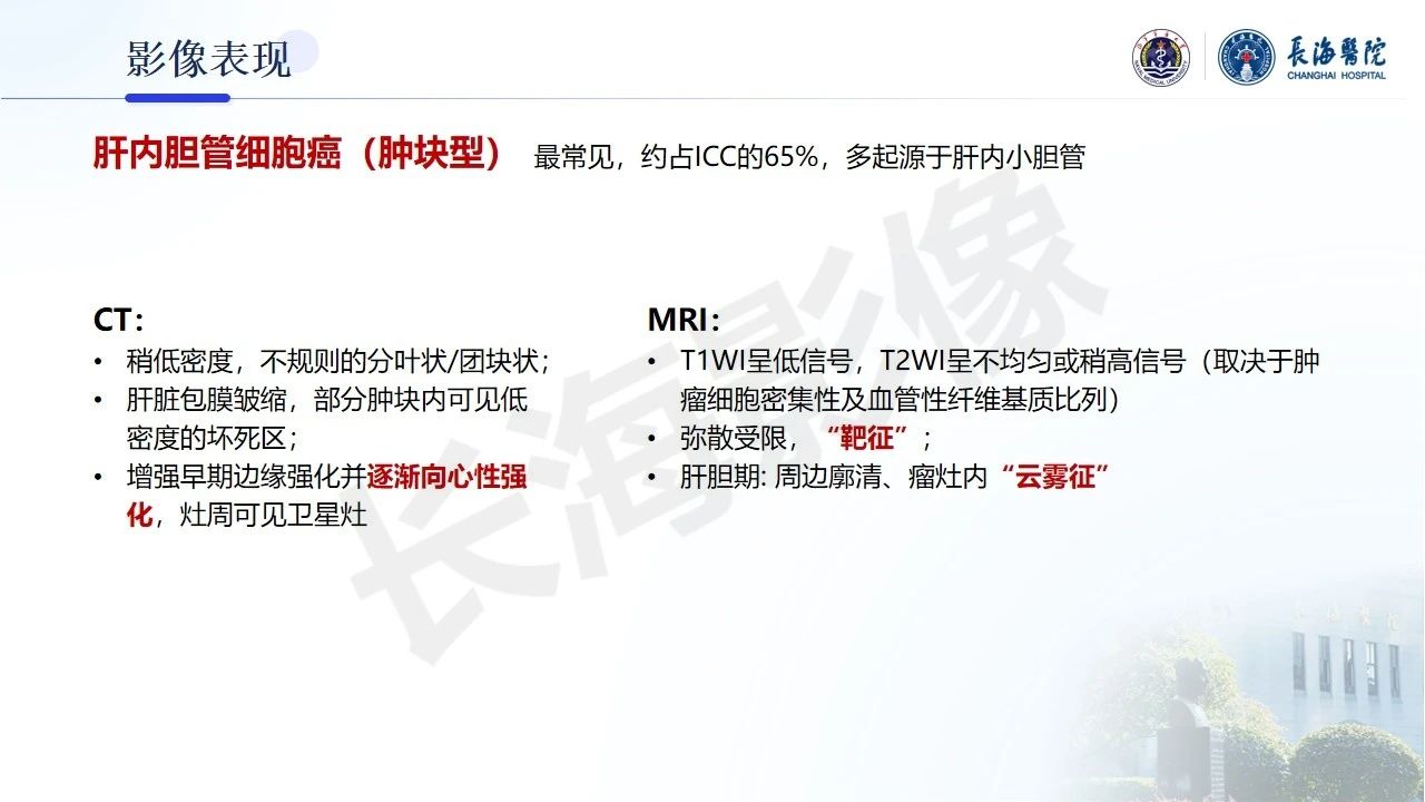6e8aed7da6957c94fc5346e721926071.jpg