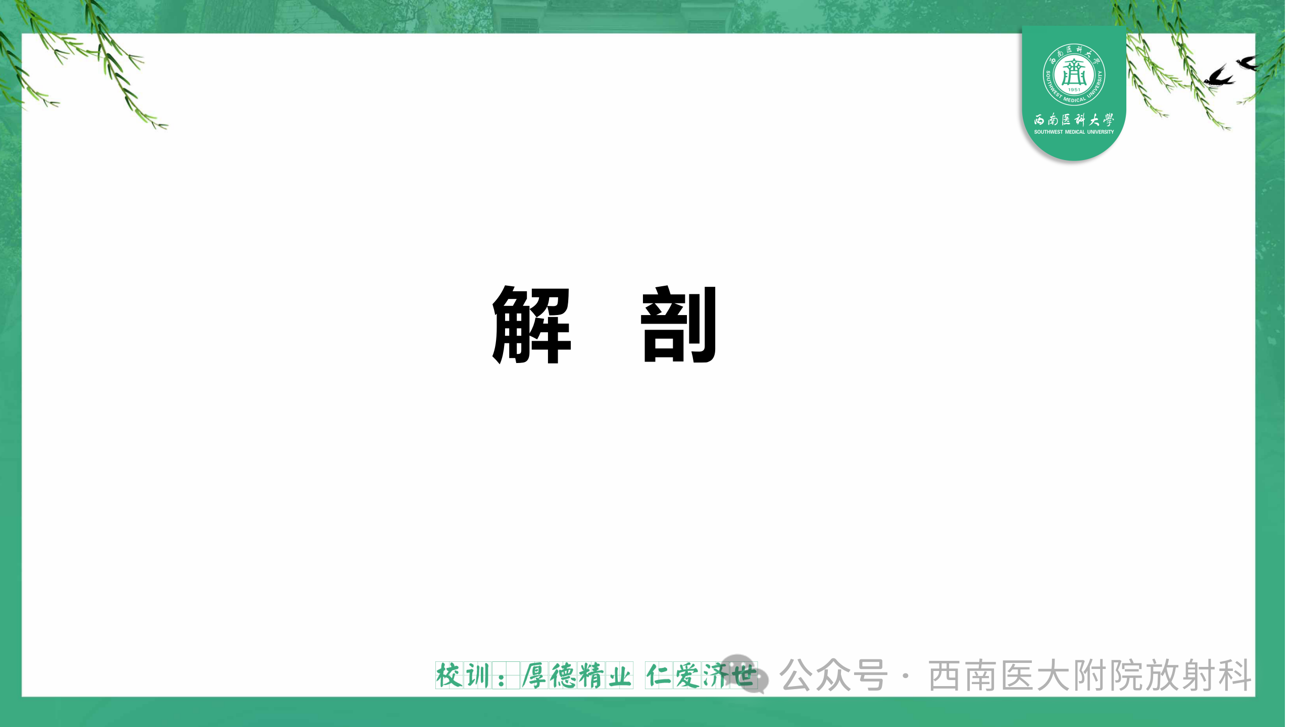 8ffbb32f4abf1da87ff6fbe444a1d402.png