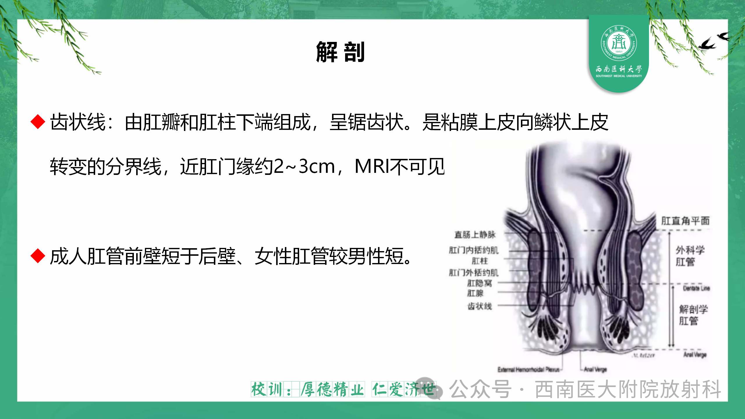 d13c21c09c717455789de177407d5f20.png