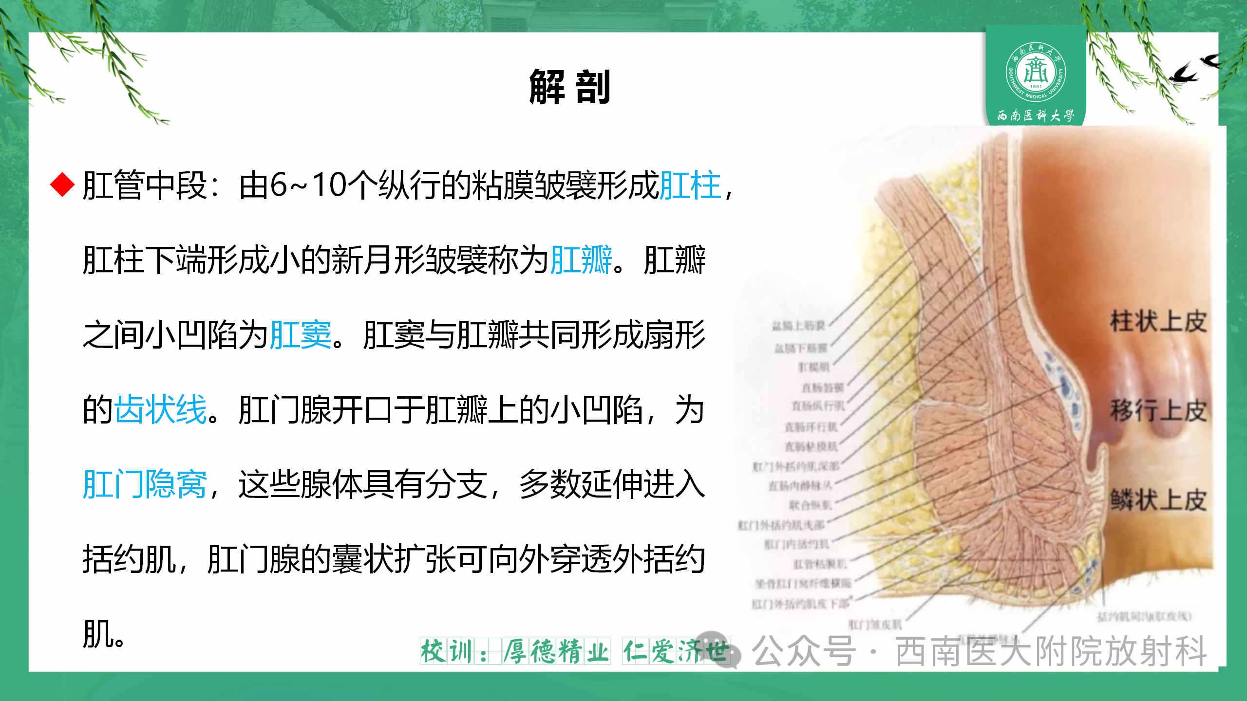 67ae1bfac176bef27b68cd850390de49.png