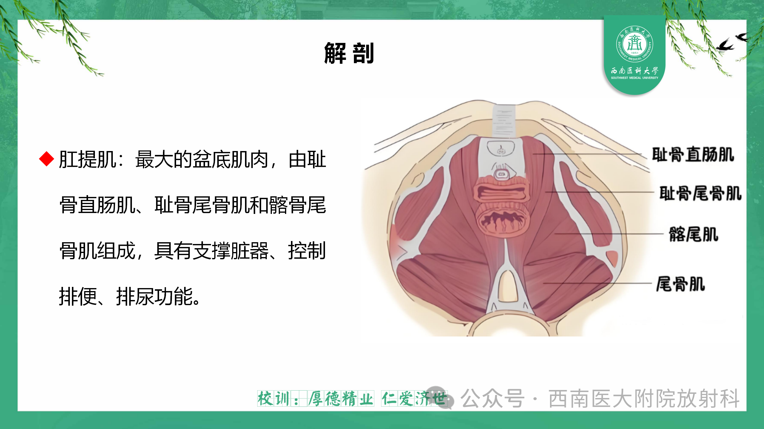 b9a257bcdbe92e48115fa32621b3d840.png