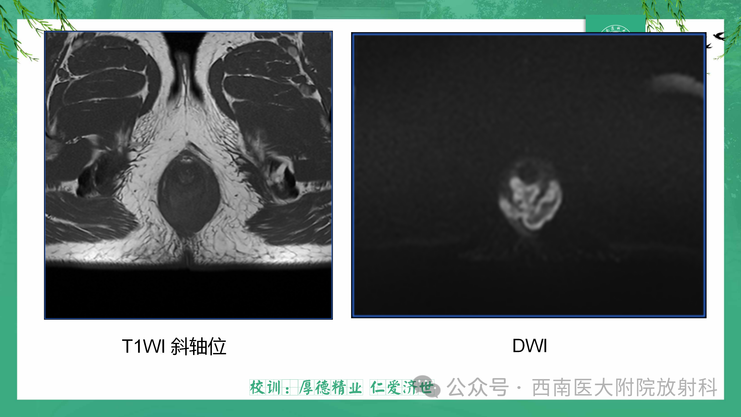 68abc65fae1ef7cad9cb76528a03bac0.png
