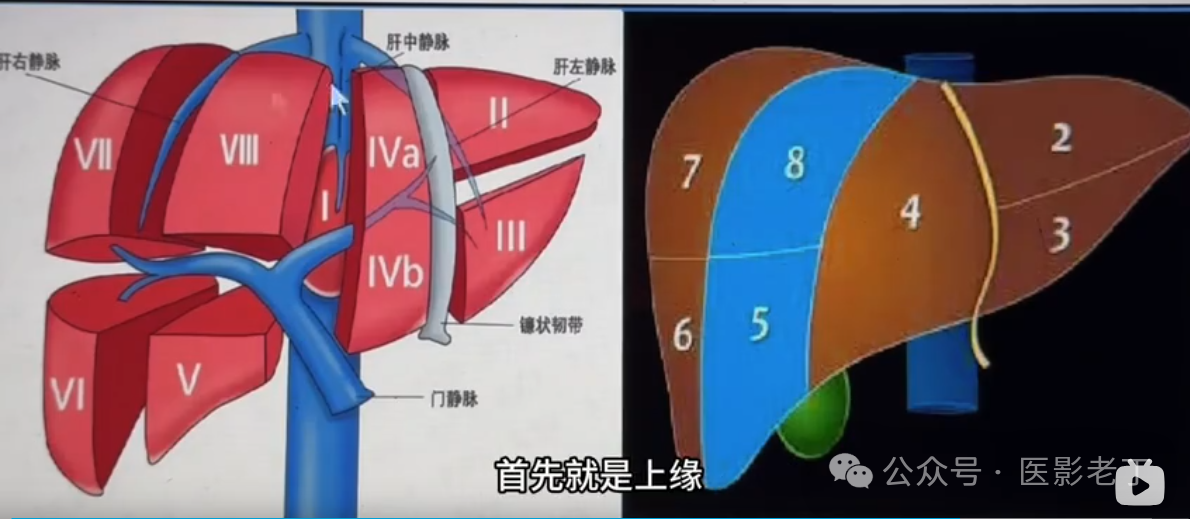 51be48befea295d8654d04fff5251ed3.png