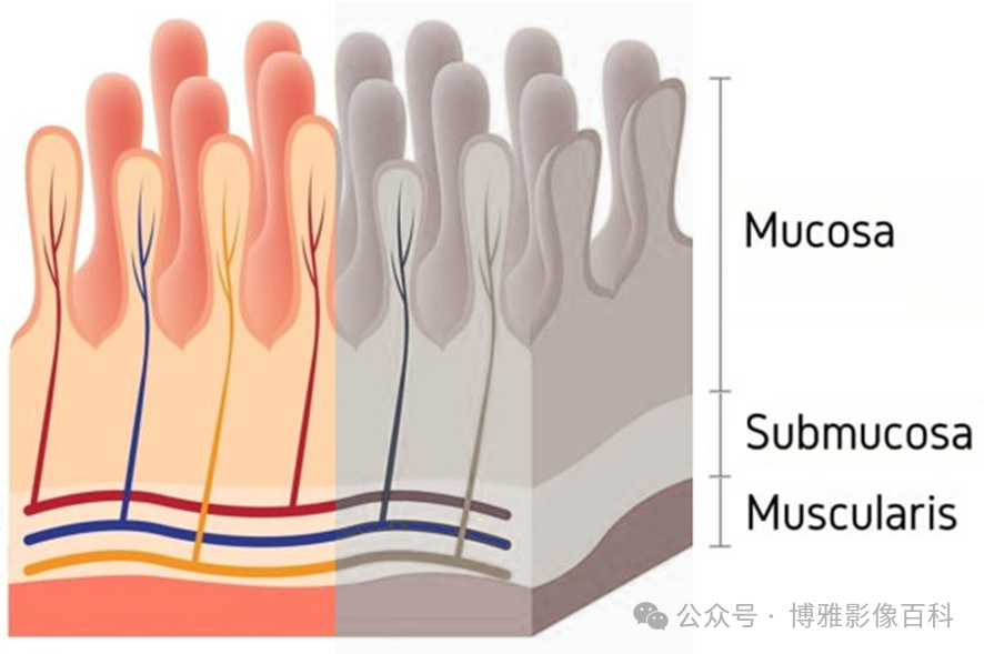 a36e06a65c8458596597b0b1c1cda339.png