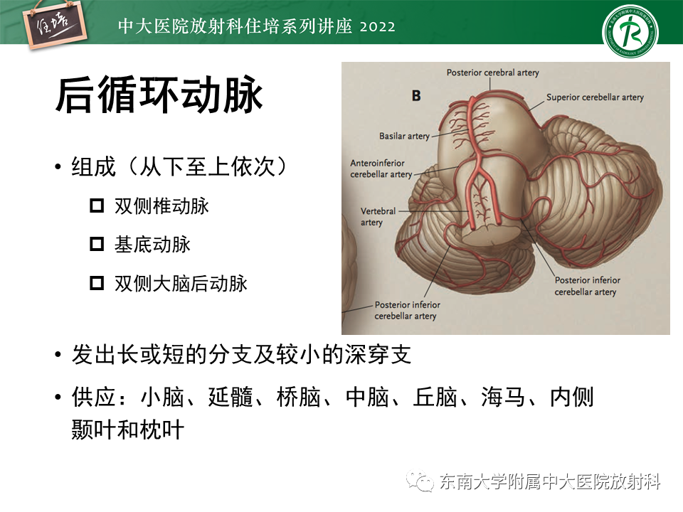 33f8a0bb1b567211dca01097fa4bc30b.png