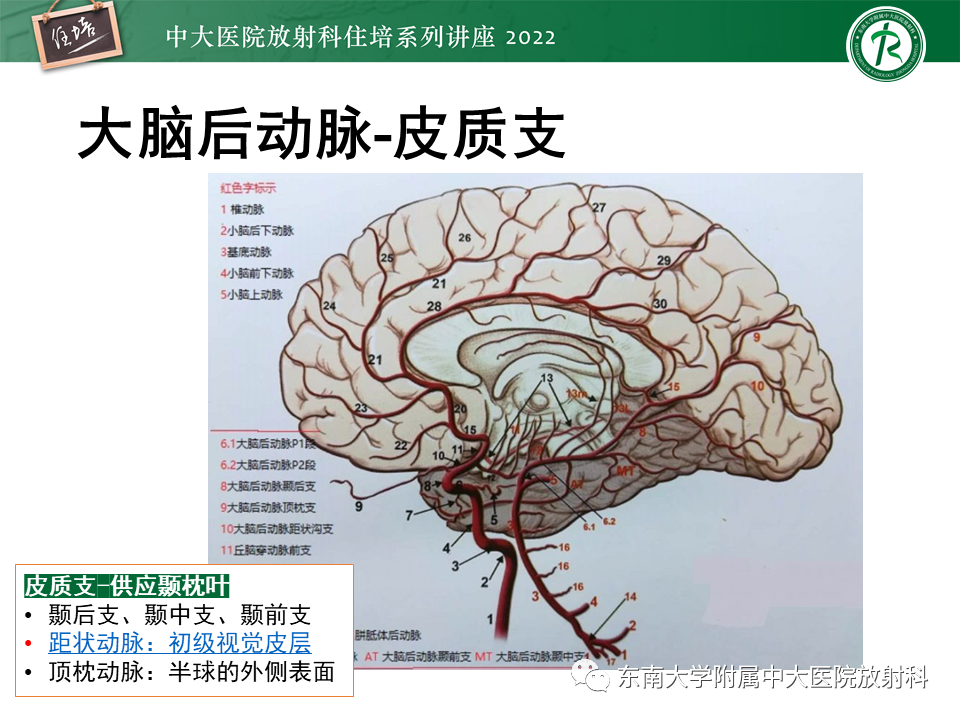975eee67b01639feca205d55e2725c21.png