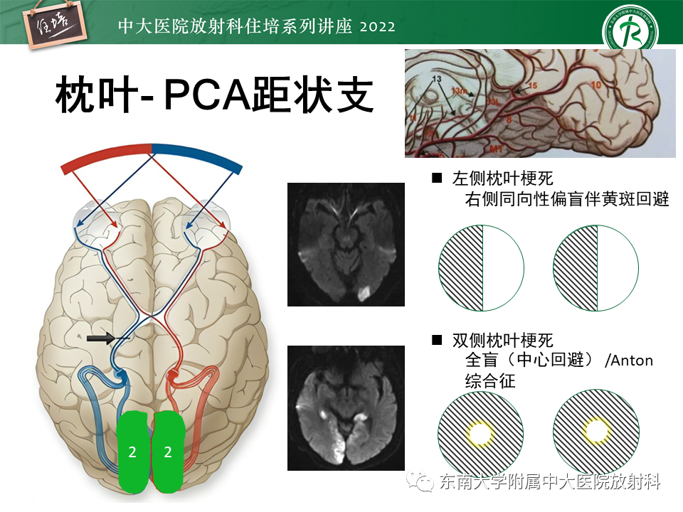 c92485cc2b5de4c9e41942e8dadd70f6.png