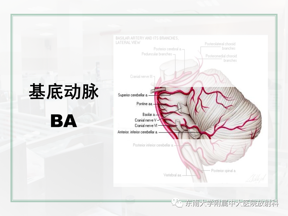 8dd6227ed7924cb22b17c998db7b13b0.png