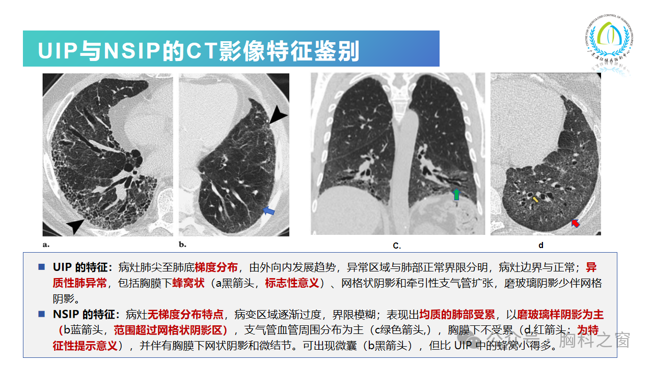 9764e25db78d905cb1aefa0064fec23b.png