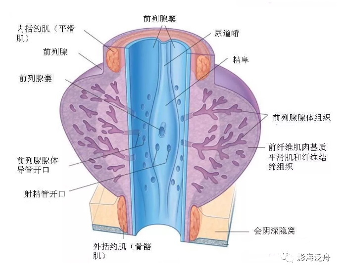 9b6950523f82ca5e5aa2c2d1a96c37aa.png