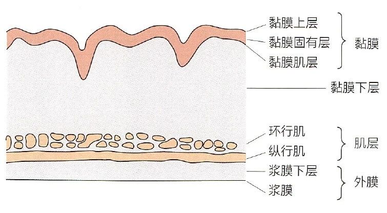 07e796a09fedda90c1039ac2d82748ba.jpg