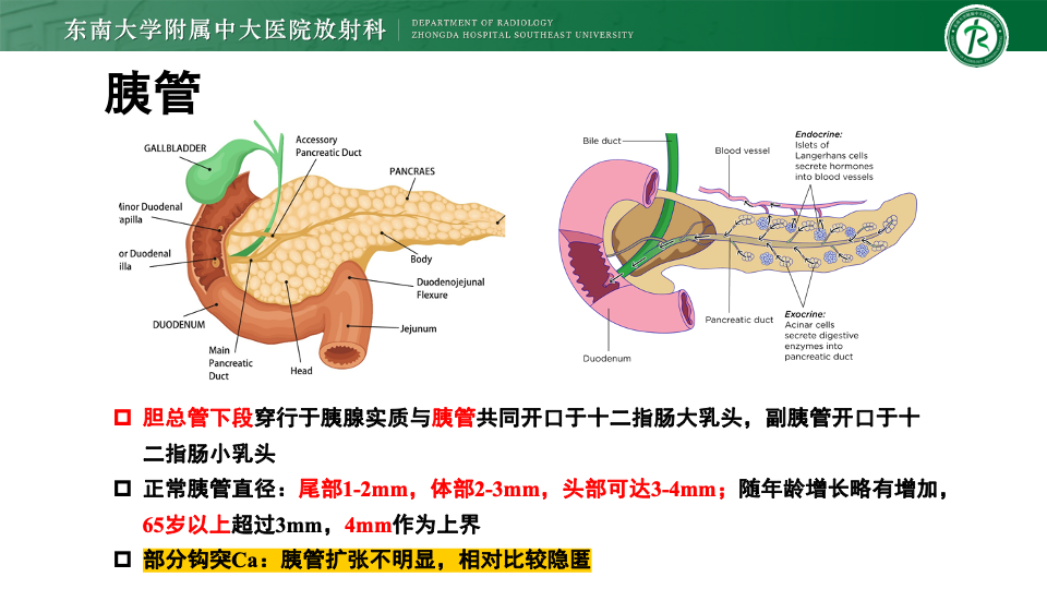 59550053acf5c1a323ff60b23404d650.png