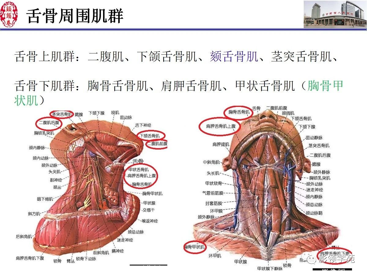 5c8a8ed050ddb5224cafeec437584faf.jpg