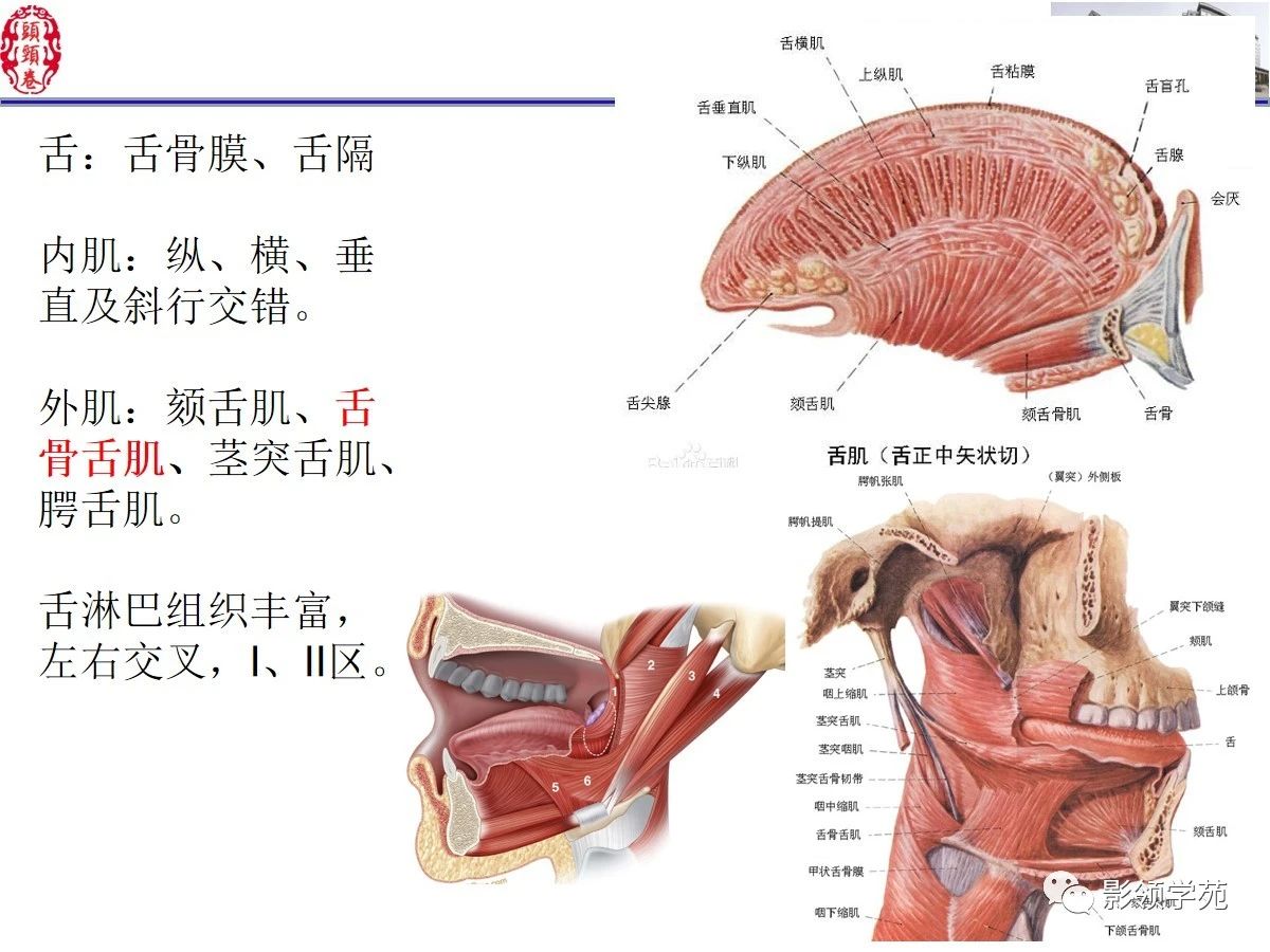 3e7f3c5d618f840ec5ded91cbb2d138e.jpg