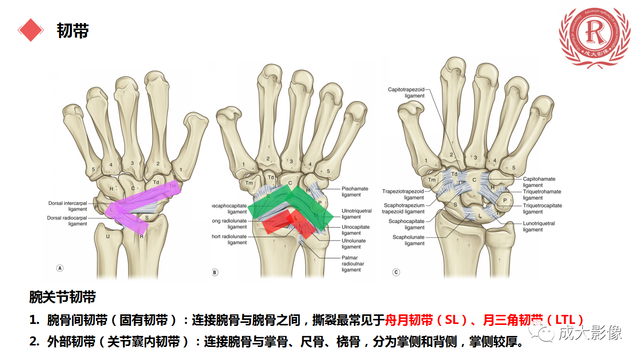 90ba761db05782dd239486fc28298feb.png