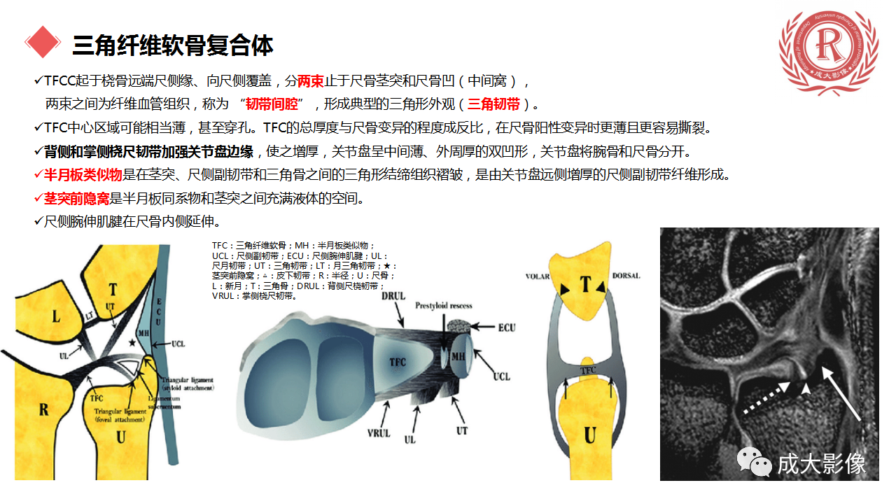 1f95f3cde3119c3a76ec6c7073fb47e9.png