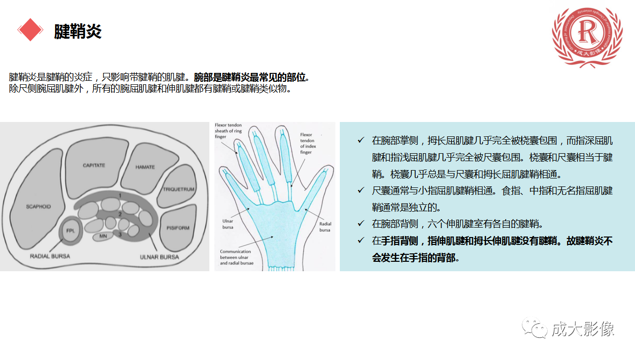 aaf677c5943571df7b2b39da9dddd695.png