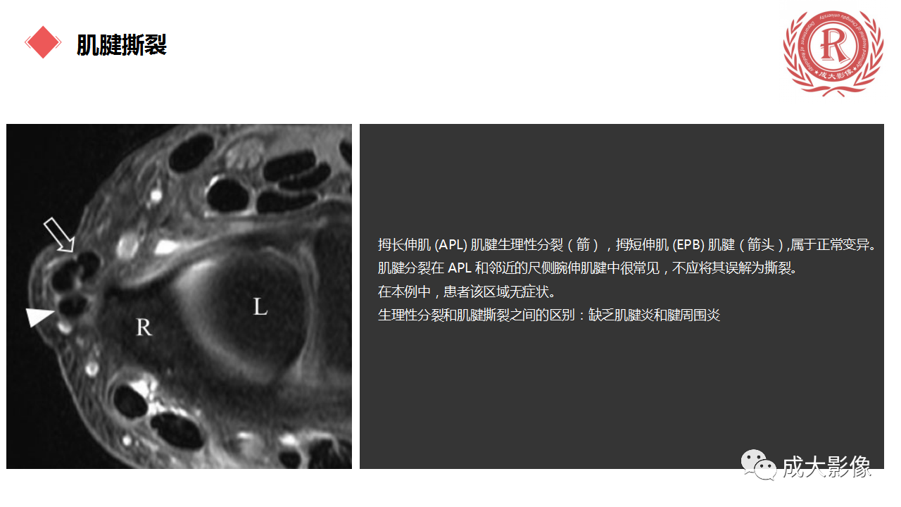 dcf99950a7a2911229923694170bd8a1.png