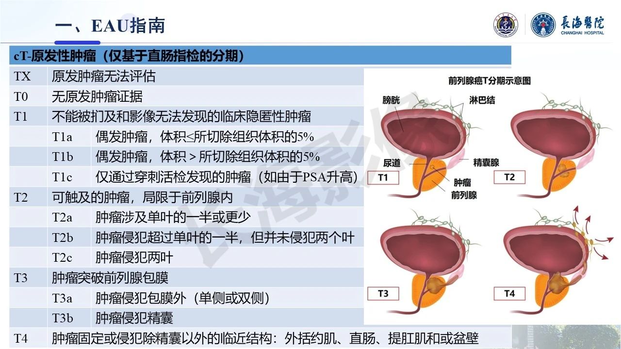 a6ec878dd206f2f88ce33a722b5ffa94.jpg