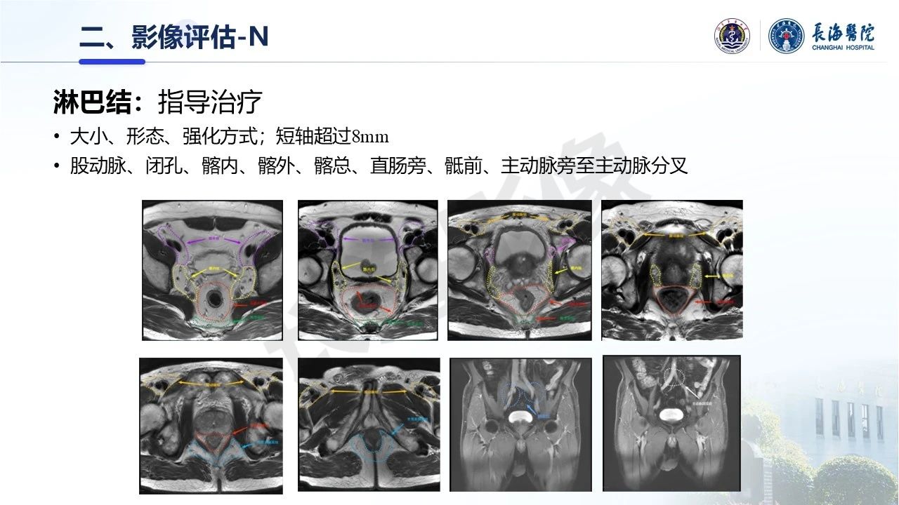 6f838a195a21d2cf5b3093cb4db35ba1.jpg
