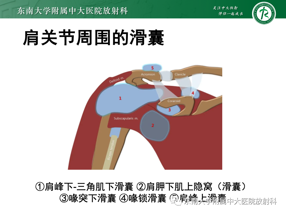 d2eba06136416b4f16abc46c0e4eefd2.png