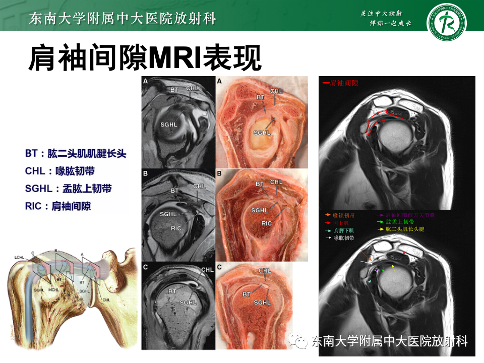 7d3a6cdec2bc678e8d53c0611f825e6c.png