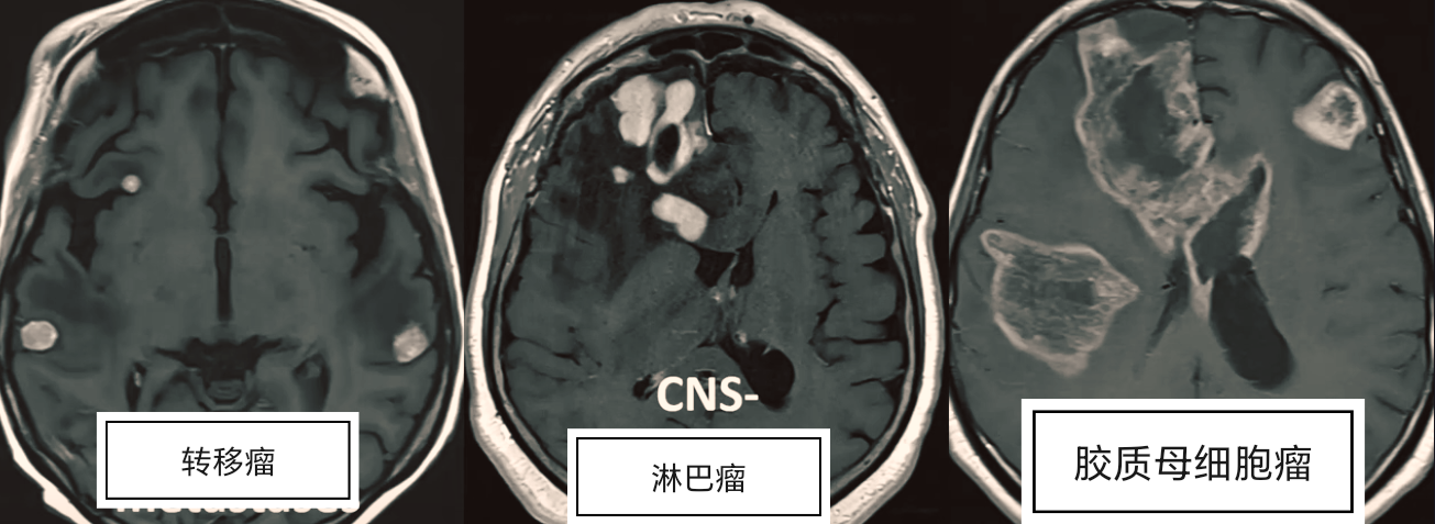 e7068a66ce15fa4b41d93c510a7f1a82.png
