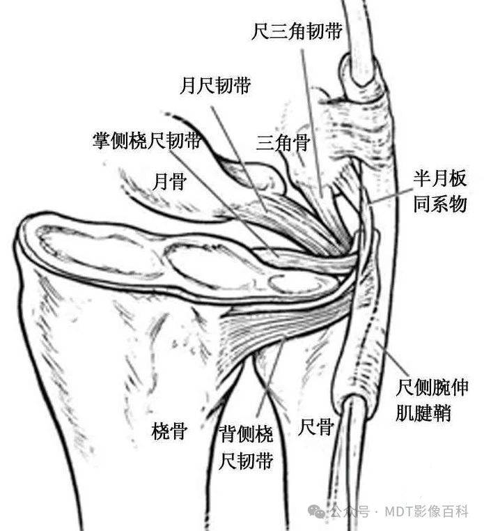 07d1c290968c7ca08946578aafbe6842.jpg
