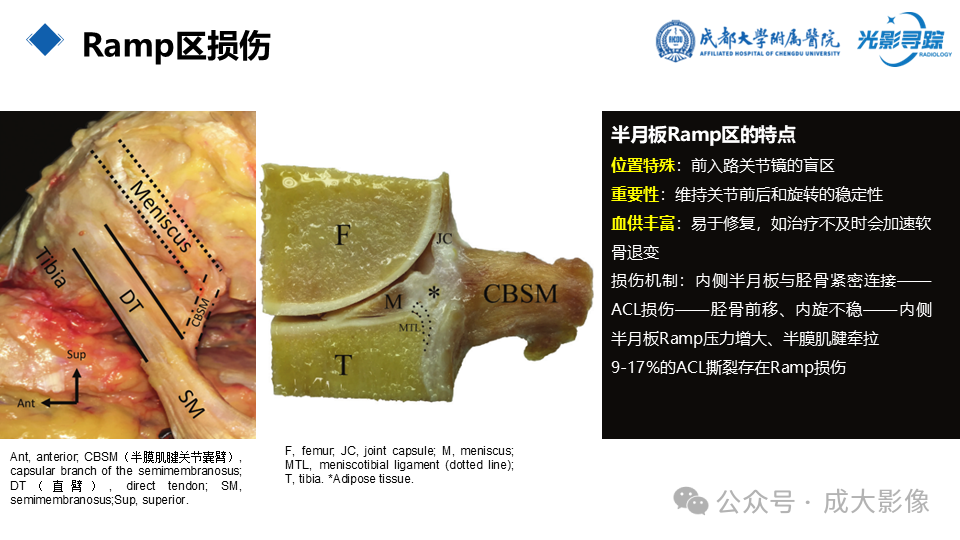 c287304e0c5937eabdb5905e5021763a.png
