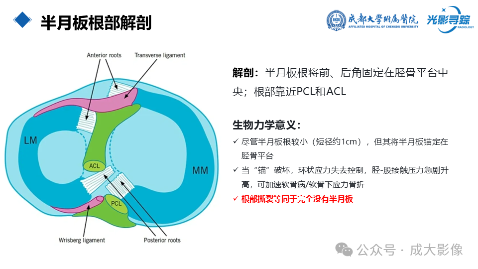 f4415be220a0c6a1ff4a8a276e4164ed.png