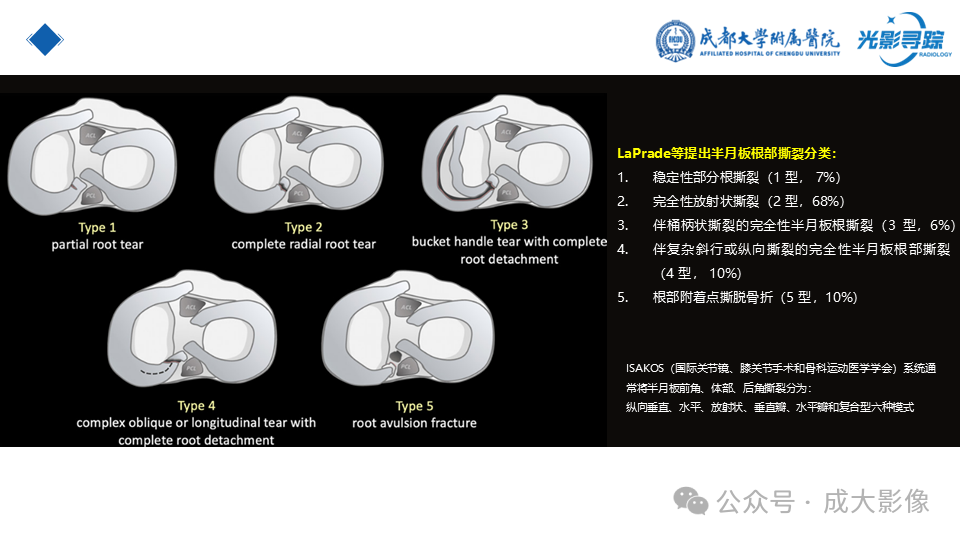 db2308aa5986c161bca99b2581a3d14a.png