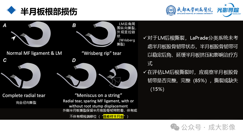 8fd08565944fcb1f30370d5731f1bccf.png