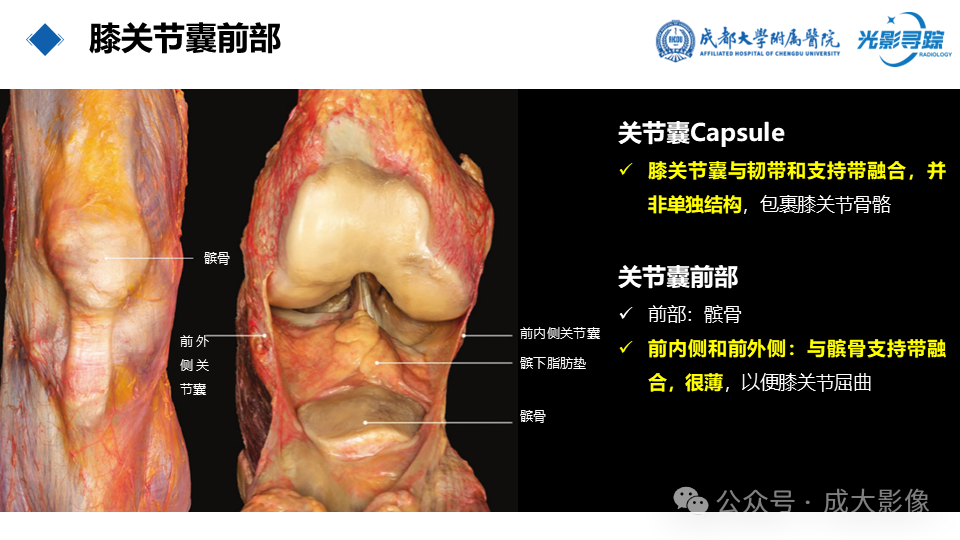 00ad837302ef2c9c4eb74a709bbd0774.png