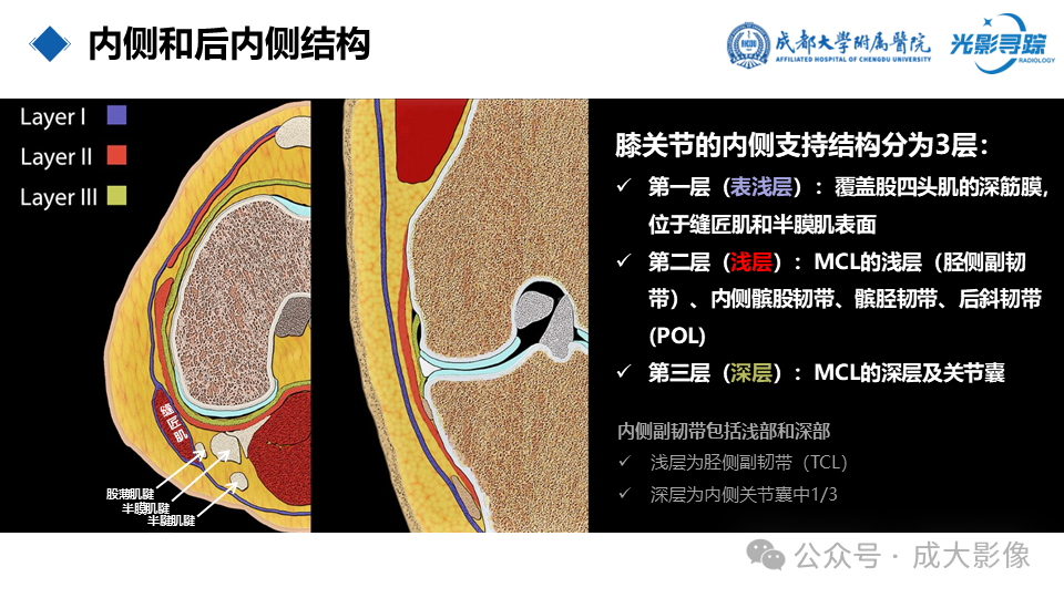 a08d164d15804fb1e510b91f704de823.png