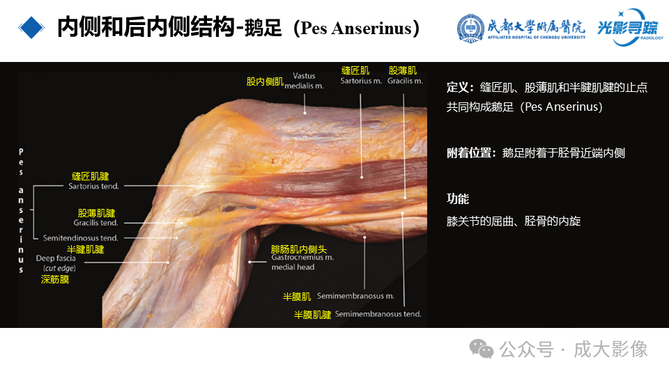 6cc69837066145aaf4ebe0e18d2687a3.png