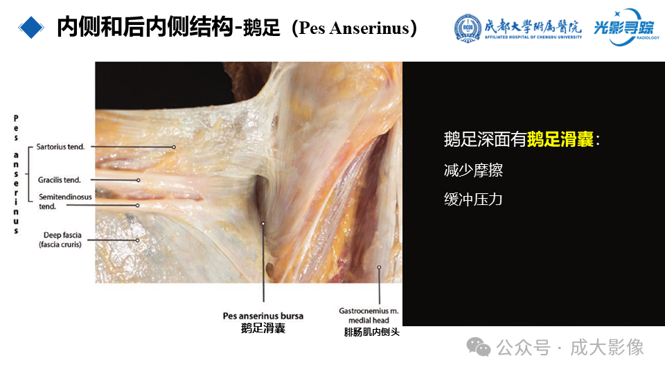 b07453440dfd3ea5156a8db034d17e79.png