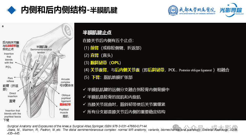a89fb0b6ed18d88e654c0ef5cfbd44b8.png