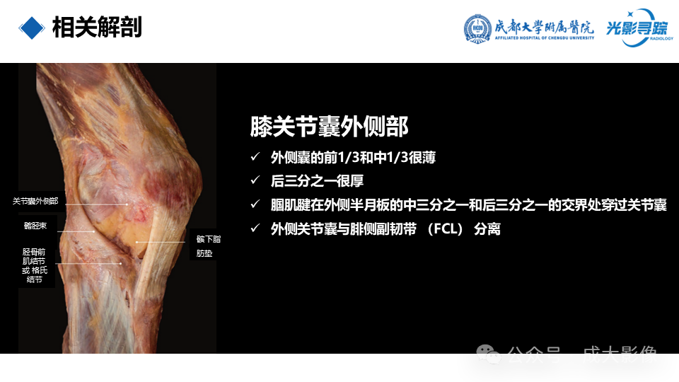b1059f9722dddac07a0404a2cf3a5856.png