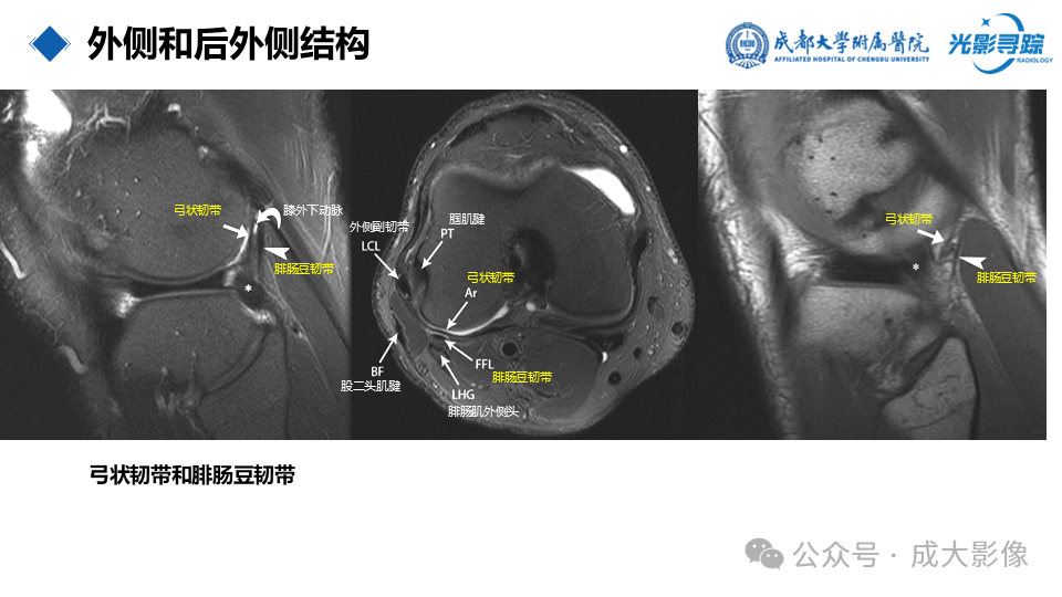 401ebf0a9d41ede0adcac3117f308601.png