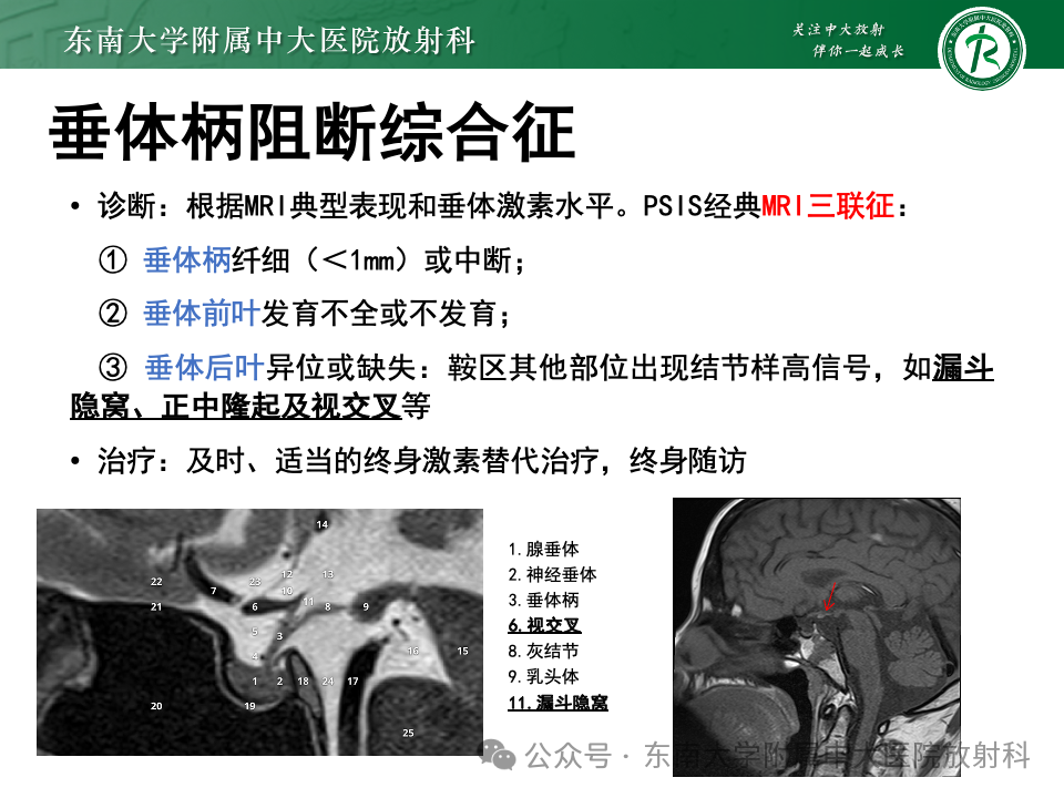 cca2959e5042cee9a93875896fa8f13d.png