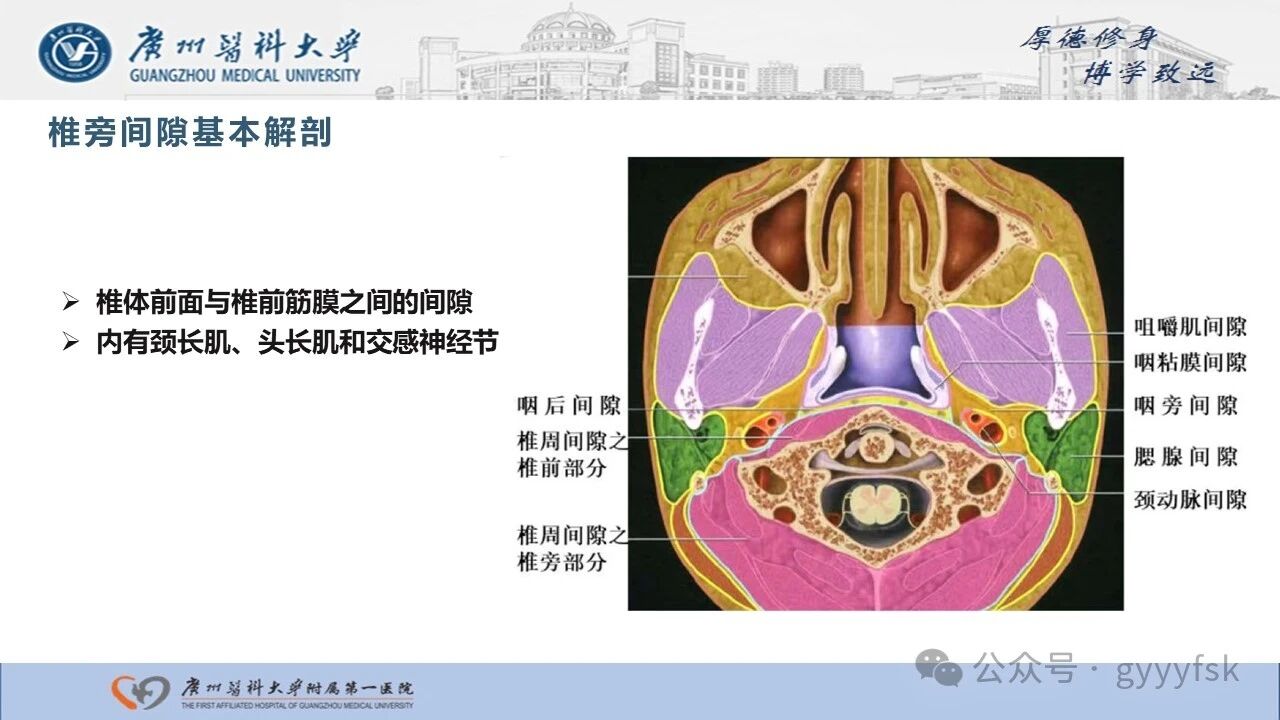 6ff6eeec3c497406a73999ad220d37b4.jpg
