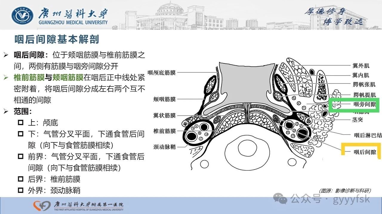 37bdb8ef158f0887266daac41c246572.jpg