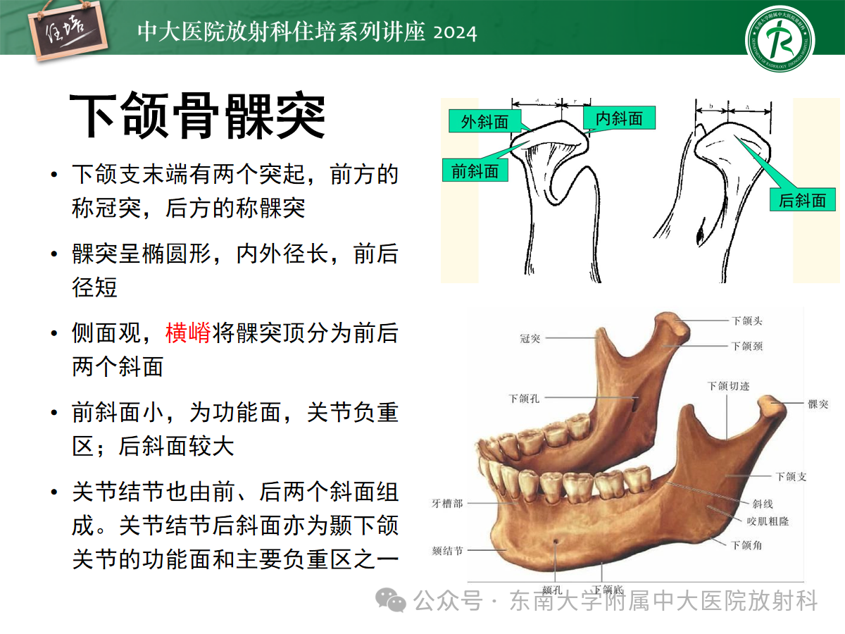 08d1ead63106136039196240bf459754.png